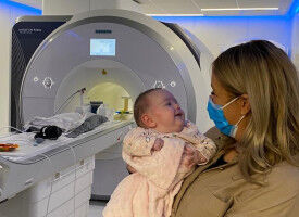 'I see a rubber duck' - babies categorise objects in the brain at just two month