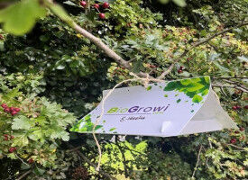 Spore Watch Ireland is looking for citizen scientists!